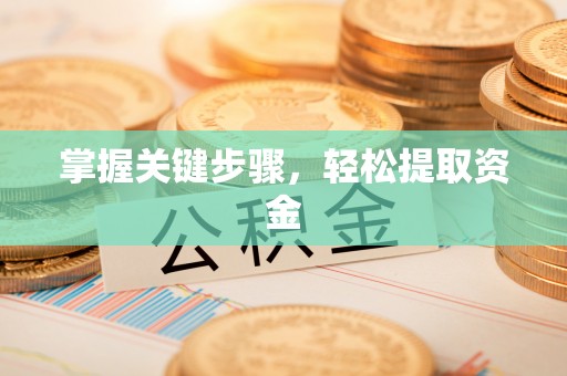 乐平掌握关键步骤，轻松提取资金