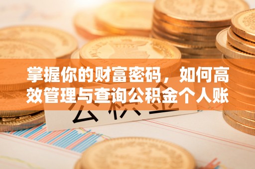 乐平掌握你的财富密码，如何高效管理与查询公积金个人账户信息