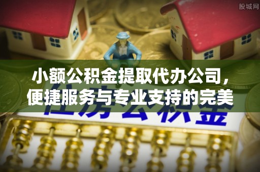 乐平小额公积金提取代办公司，便捷服务与专业支持的完美结合